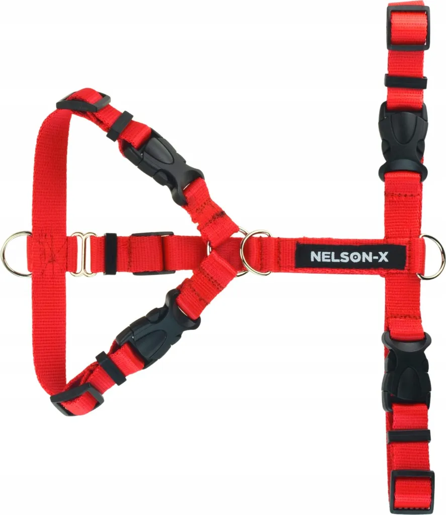 Recensione Pettorina Nelson-X Easy Guard Walk XXL Cani Giganti