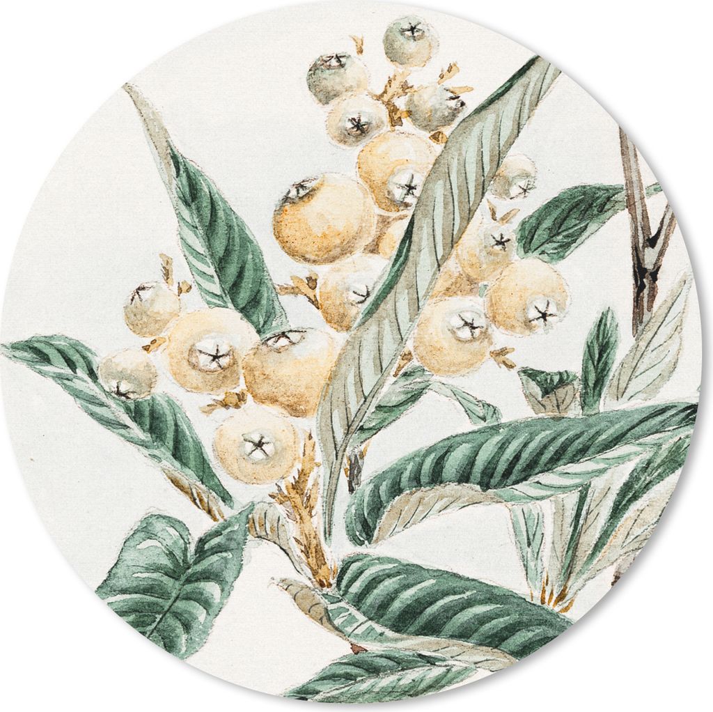MuchoWow Mauspad Mousepad Obst - Blätter - Vintage - Japanisch - Skandinavisch 20x20 cm - Mousepads - Maus Mat - Pad - Mausunterlage - Schreibti...