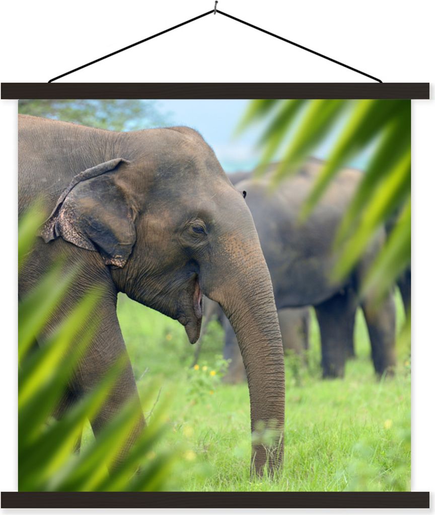 MuchoWow Textilposter Elefant - Palme - Tiere 40x40 cm mit schwarzem Rahmen - Fotos
