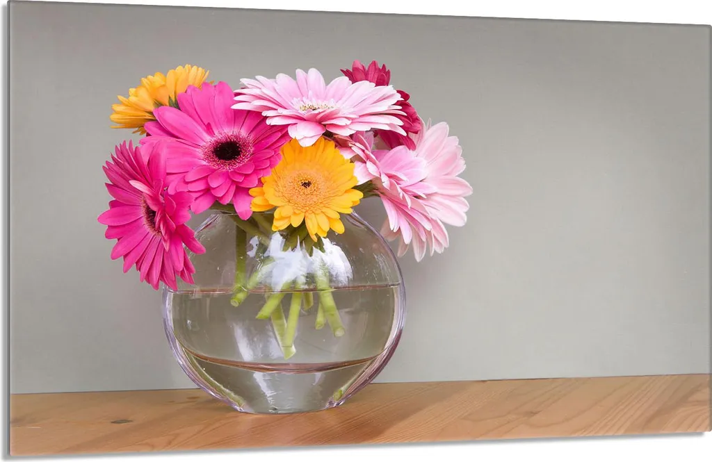 Protezione Professionale Piano Cottura 80x52cm - Gerbera Colourful