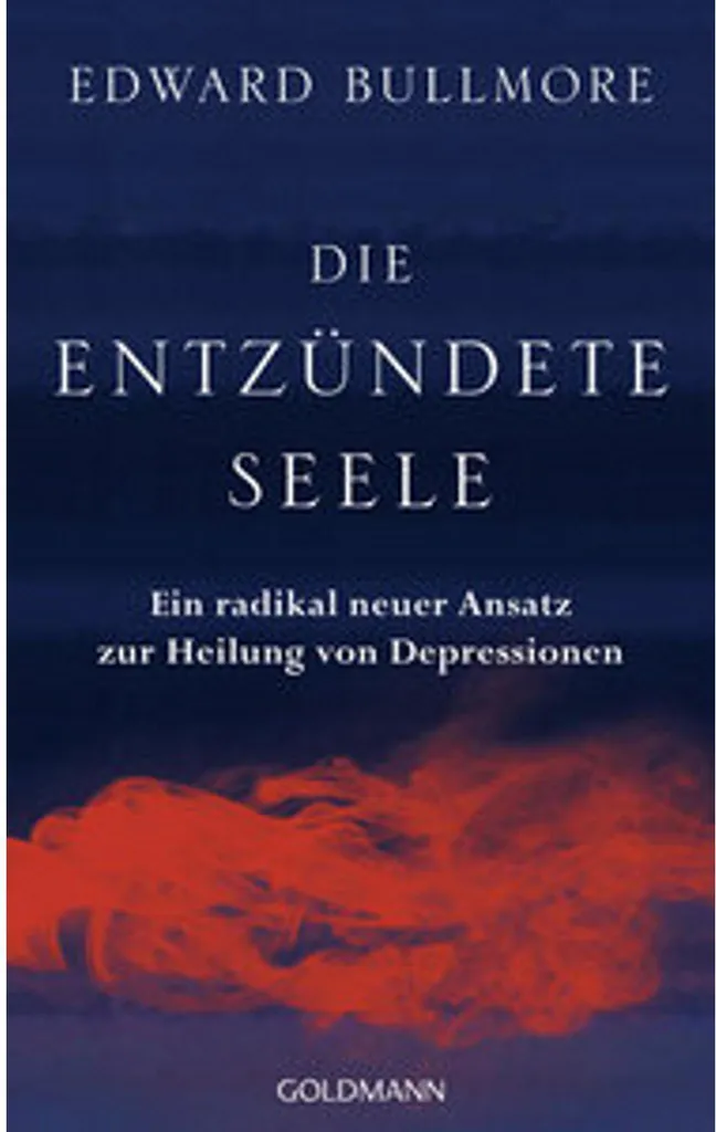 Dépression et inflammation : solutions dans Die entzündete Seele