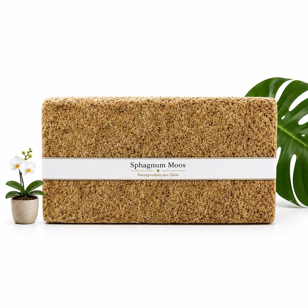 Sphagnum Moos 5000g, ca. 400L – stark Wasser-speicherndes Produktbild 