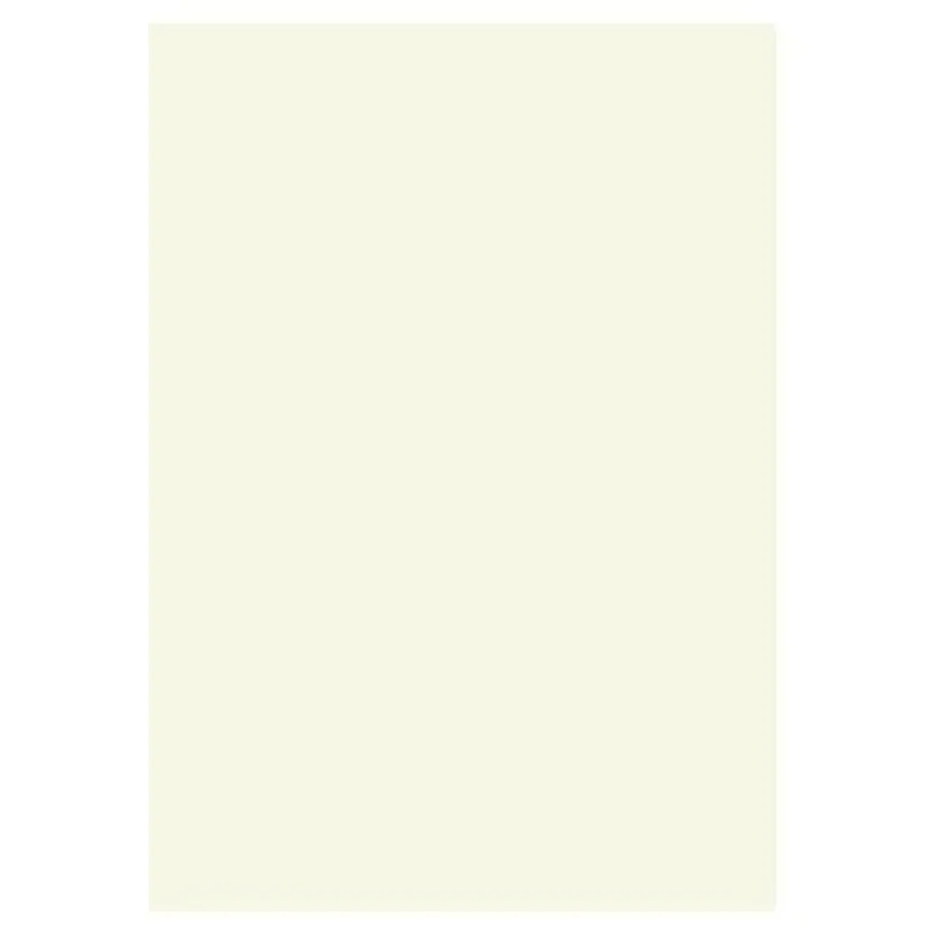 Carton Photo Blanc Perle 50x70 pour Loisirs Créatifs et Dessin - 25 Heyda