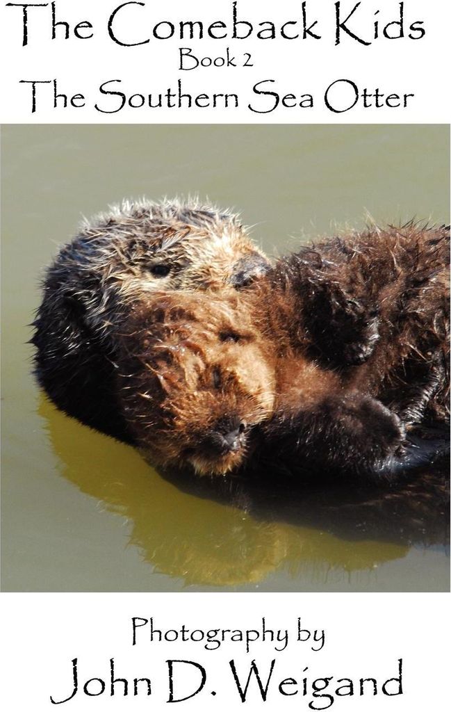 "The Comeback Kids" Book 2, The Southern Sea Otter