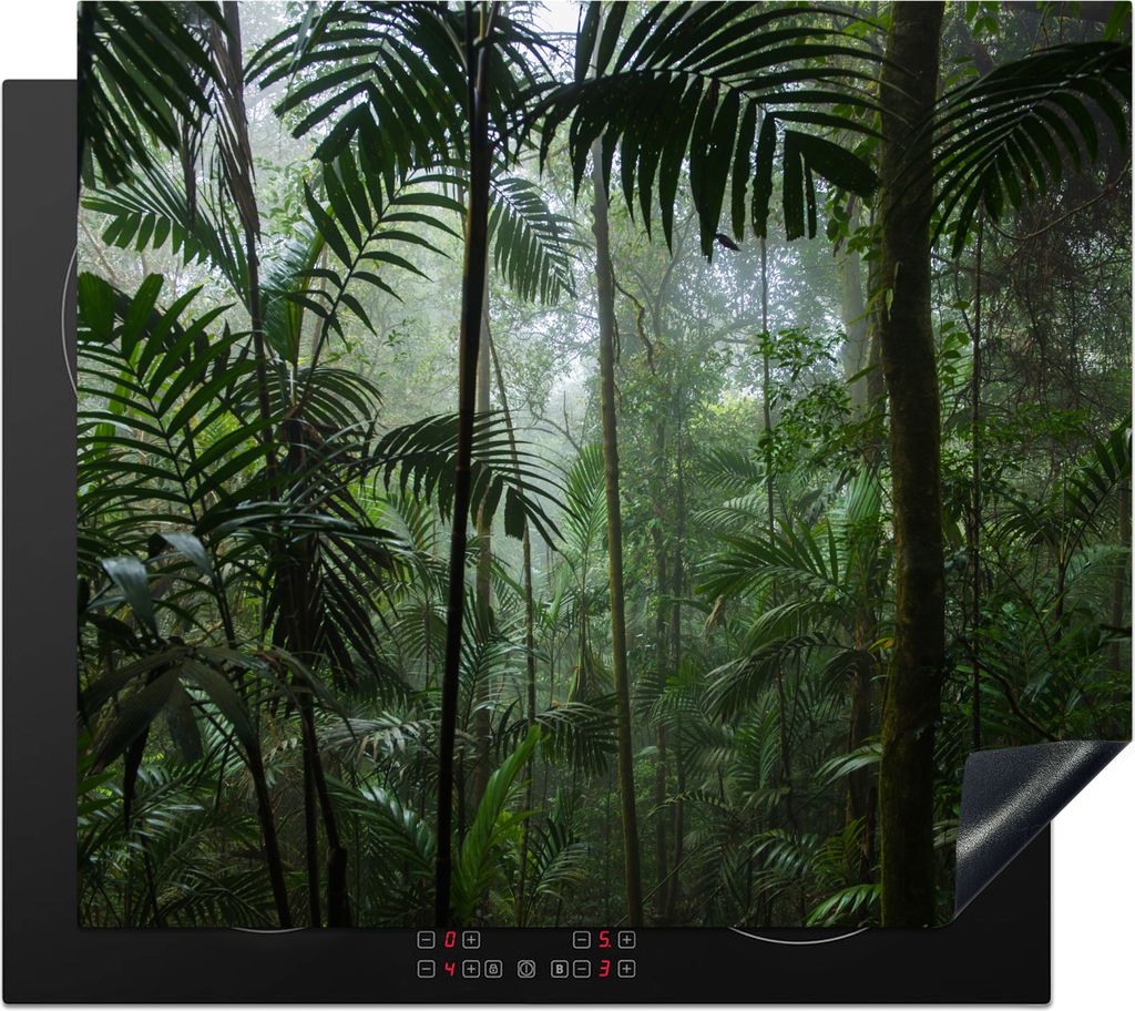 KitchenYeah Herdabdeckplatte Regenwald - Tropisch - Dschungel - Bäume - Pflanzen , 58x51cm, Küche Deko, Glaskeramikkochfeld Herdabdeckung, Abde...