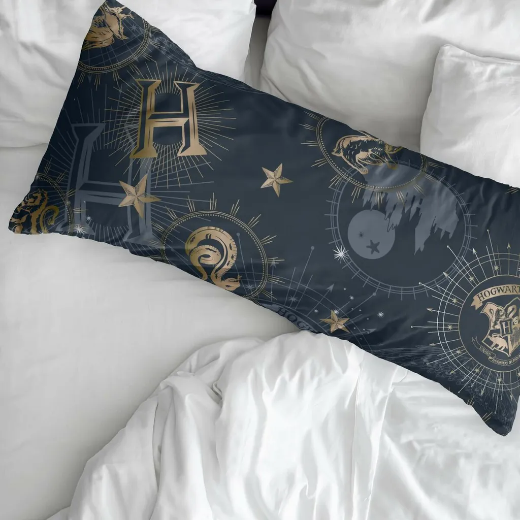 Parure de lit Harry Potter pour lit simple bleu avec taie 48x110 cm