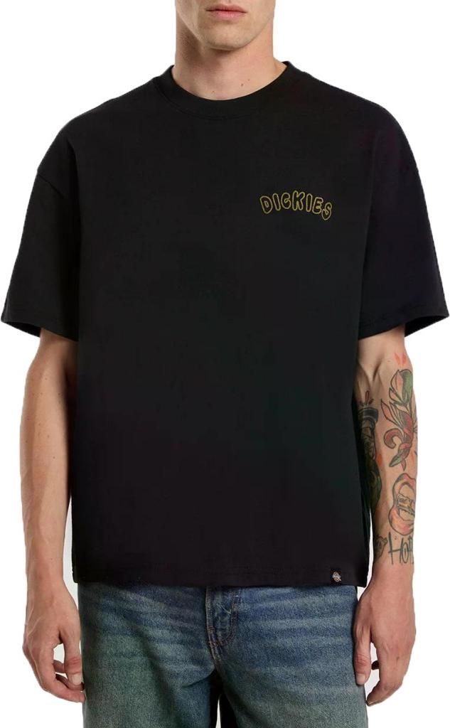 DICKIES DECARTUVILLE Schwarz