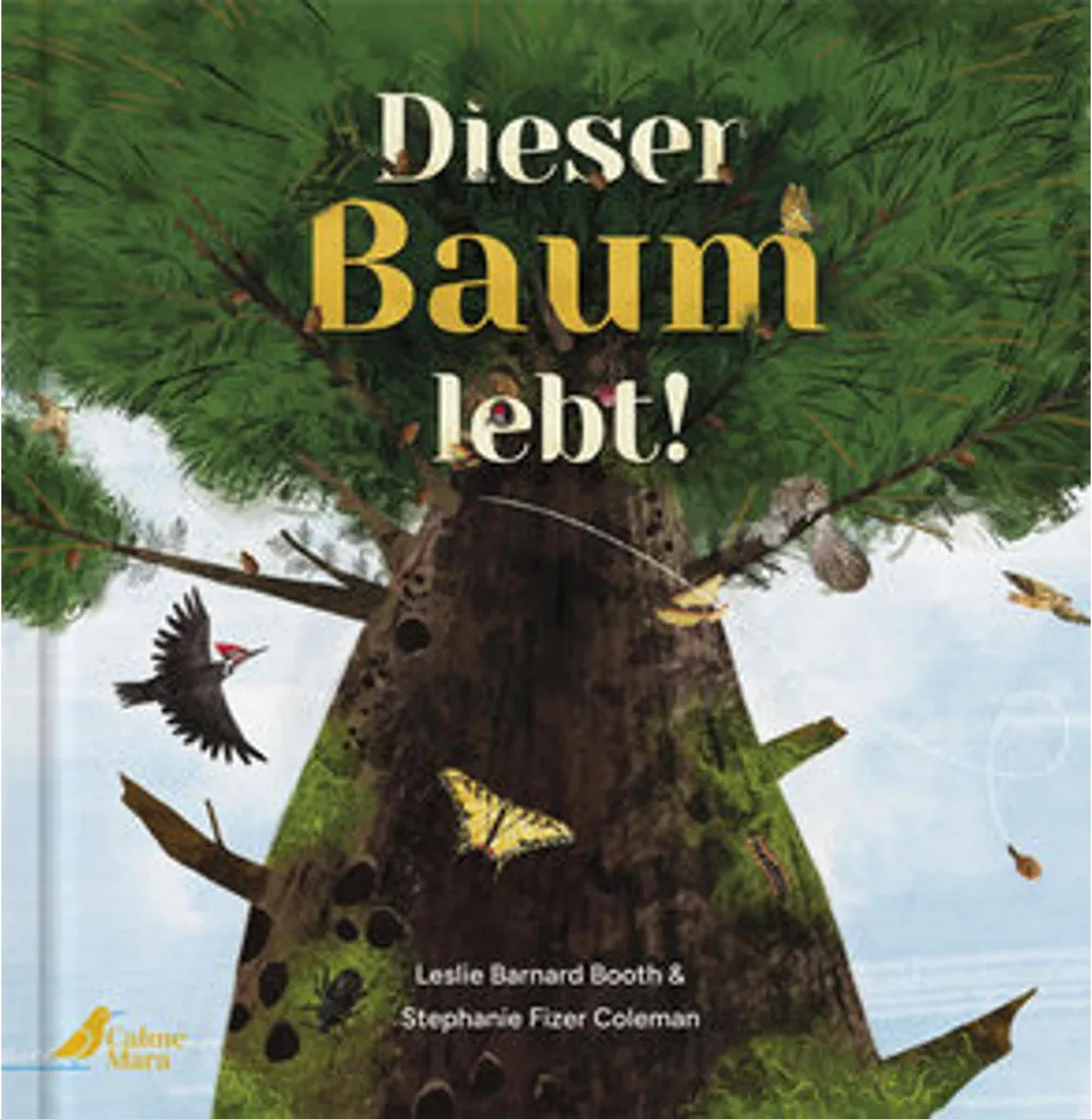 Bonsaï d'Intérieur Vivant - Arbre Décoratif en Pot de Céramique 40cm