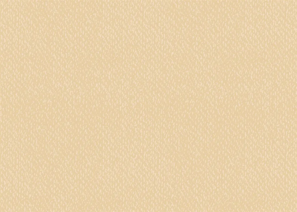 Finissez vos Projets avec le Tonkarton Heyda 50x70 cm Chamois sans Plis