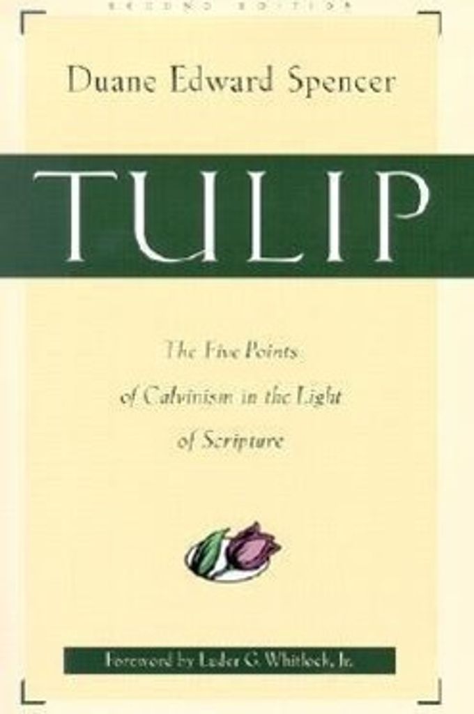 Tulip