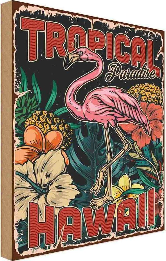 vianmo Holzschild 40x30 cm Hawaii Tropical Paradise Alkohol Abenteuer Reisen