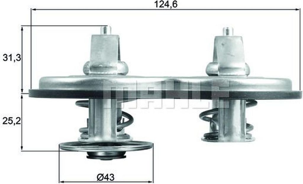 Mahle Thermostat für