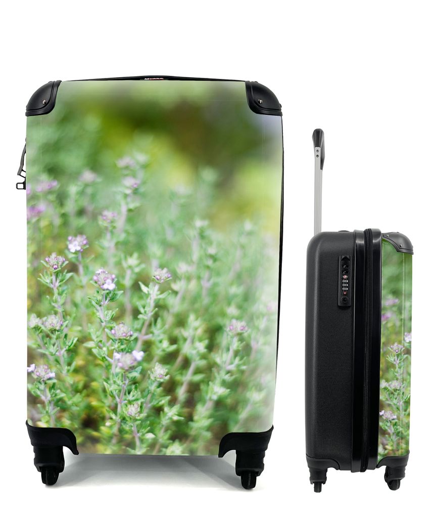 MuchoWow Koffer Handgepäck Trolley Rollkoffer Kleine Reisekoffer mit 4 Rollen - Nahaufnahme von wachsenden Thymianpflanzen in einem hübschen Ga...