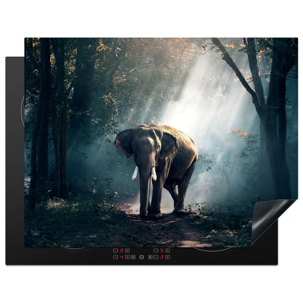 KitchenYeah Herdabdeckplatte Elefant - Tiere - Licht - Wald - Natur - Wildtiere , 77x59cm, Küche Deko, Glaskeramikkochfeld Herdabdeckung, Abdeck...