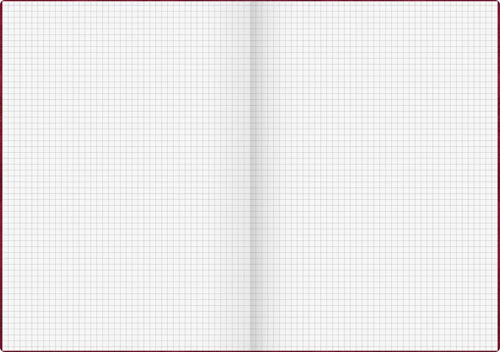 Cahier de comptabilité A4 quadrillé pour gestion et bilan financier