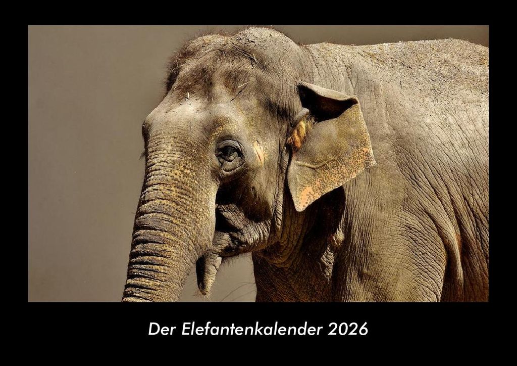 Der Elefantenkalender 2026 Fotokalender - Querformat DIN A3, Monatskalender mit Bild-Motiven von Haustieren, Bauernhof, wilden Tieren und Raubtieren