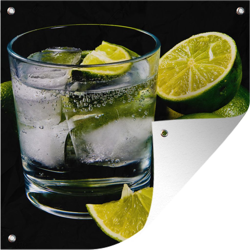 MuchoWow 100x100 cm Outdoor-Poster Gartendeko Sichtschutz Garten Poster für den Garten Glas Gin Tonic auf Eis, umgeben von Limetten