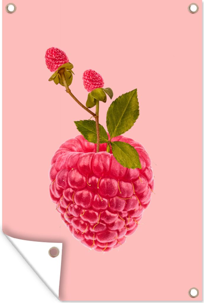 MuchoWow 80x120 cm Outdoor-Poster Gartendeko Sichtschutz Garten Poster für den Garten Stilleben - Himbeere - Obst