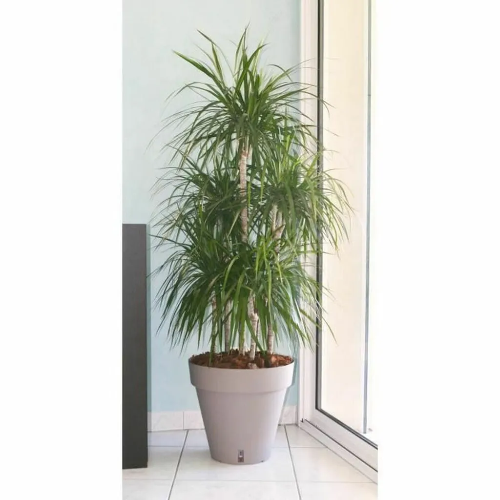 Bac à fleurs rond Riviera 50 cm en plastique taupe pour terrasse