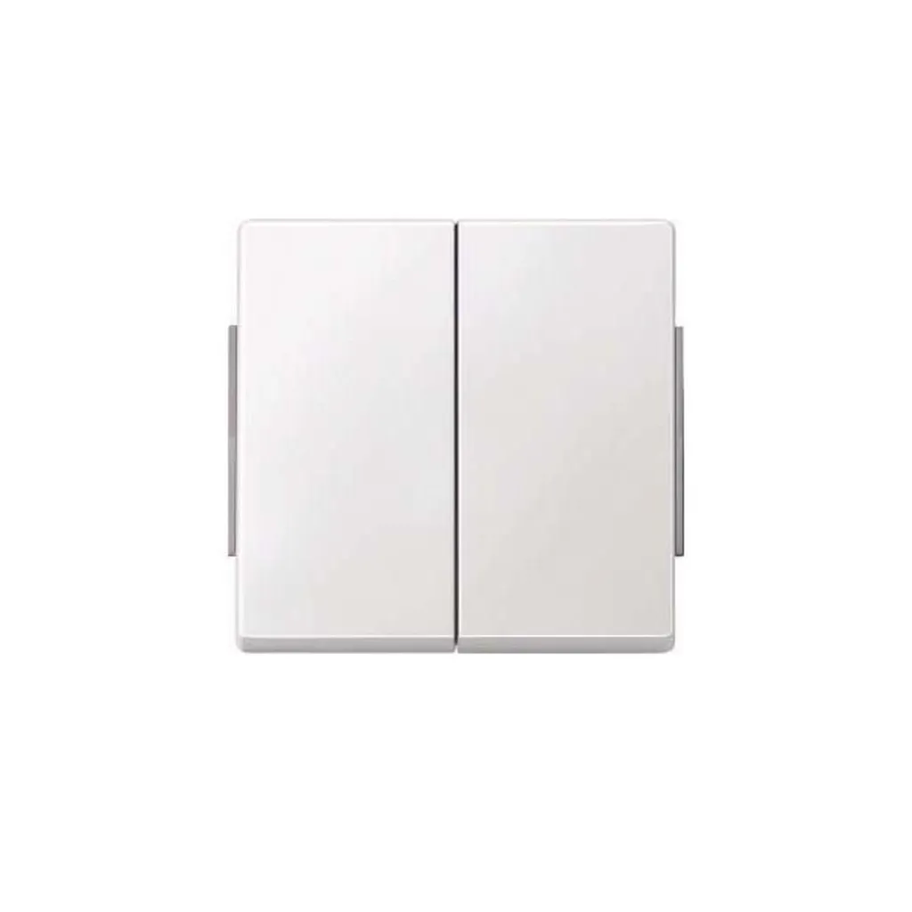 Merten 343519 Bascule Blanche Polaire pour Interrupteur Série AQUADESIGN