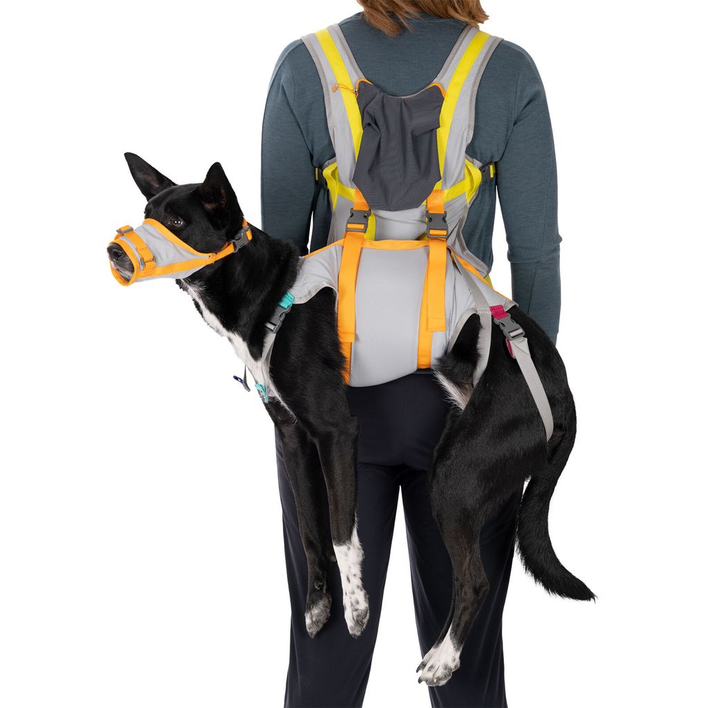 Ruffwear BackTrak™ Kit di evacuazione per cani Cloudburst Immagine del prodotto 