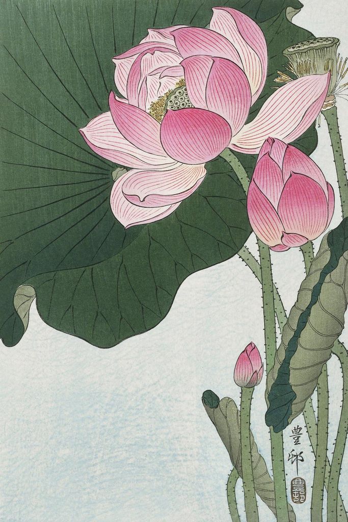Plakat 30x45cm Blühende Lotusblumen, Japanischer Vintage Koson für das Wohnzimmer