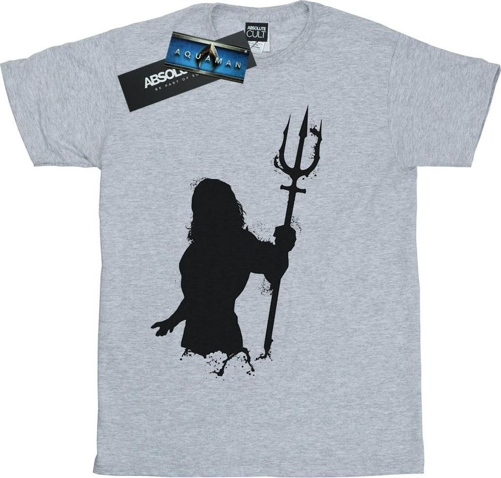 DC Comics - T-Shirt für Damen BI10099 (3XL) (Grau)