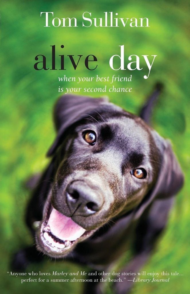 Alive Day: A Story of Love and Loyalty. Sullivan, Tom New.