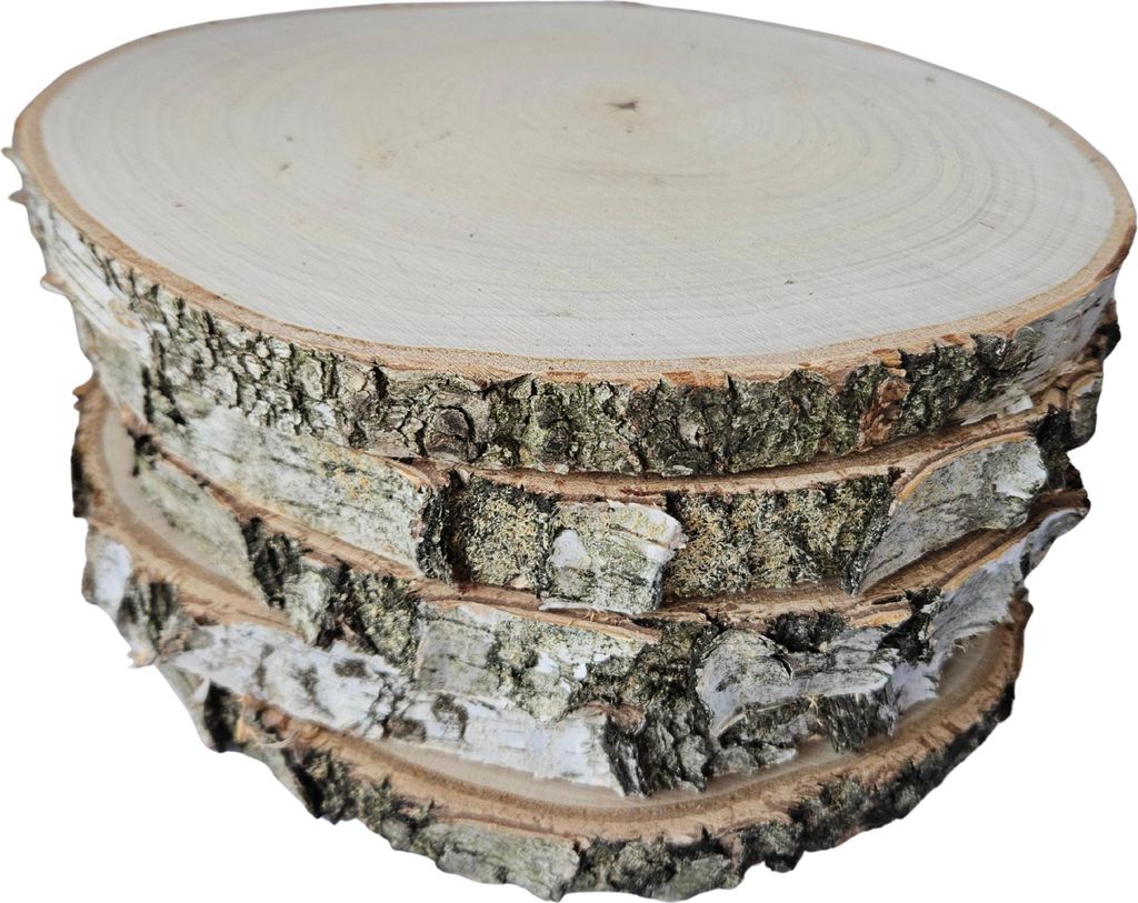 Holzscheibe 20-25 cm, Birke, geschliffen, 5er-Set Produktbild 