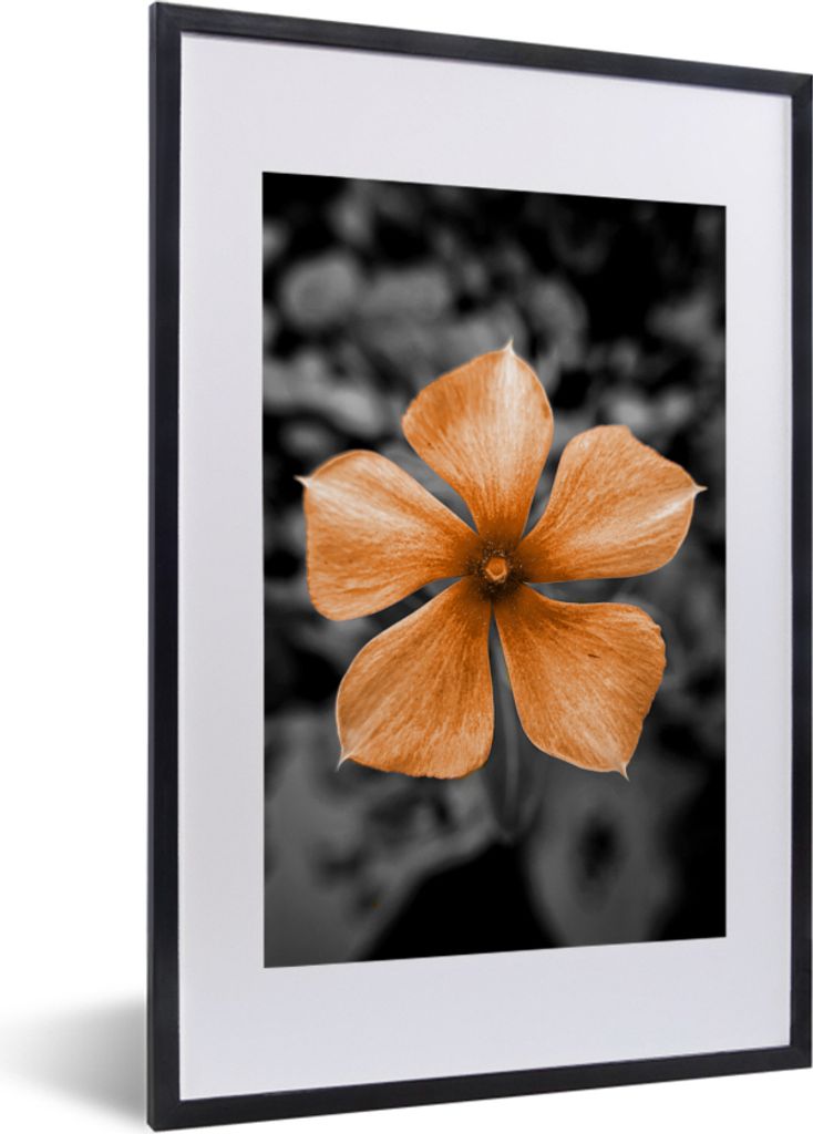MuchoWow® MuchoWow® Gerahmtes Poster Blumen - Orange - Produktbild 