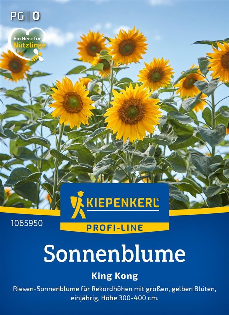 Kiepenkerl Sonnenblumensamen King Kong Helianthus annuus 15 Produktbild 