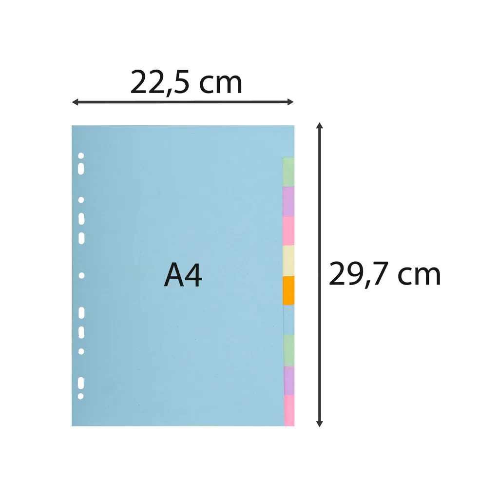 Intercalaires Exacompta robustes 10 pos A4 carte 170g pastel 1610E - 3