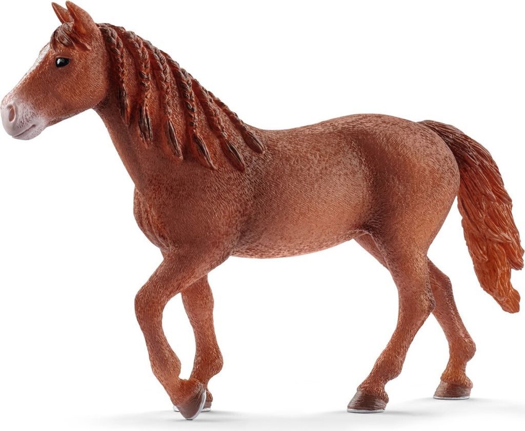 Schleich Morgan Horse Stute 13870 Produktbild 