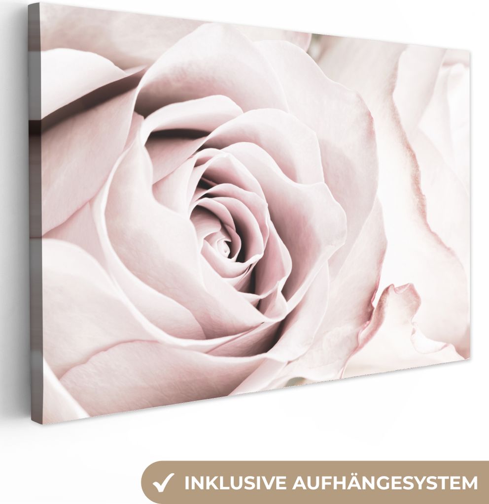 MuchoWow - Leinwandbilder - Blumen - Rose - Rosa - Botanisch, Wandbild, Wanddeko Bilder Wohnzimmer, 30x20 cm
