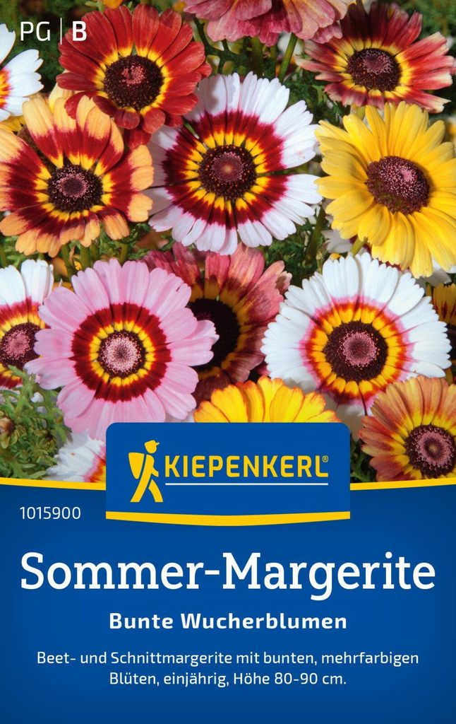 Kiepenkerl Sommer-Margeritensamen Bunte Wucherblumen Produktbild 