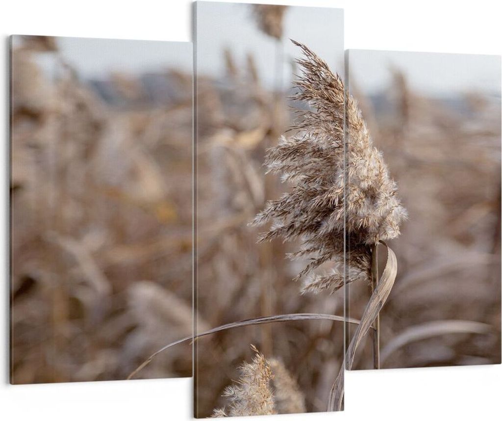 Bild auf Leinwand - Leinwandbild - 3 Teile - Boho Ähren Gras - 130x100cm - Wand Bild - Wanddeko - Wandbilder - Leinwanddruck - Bilder - Wanddekora...