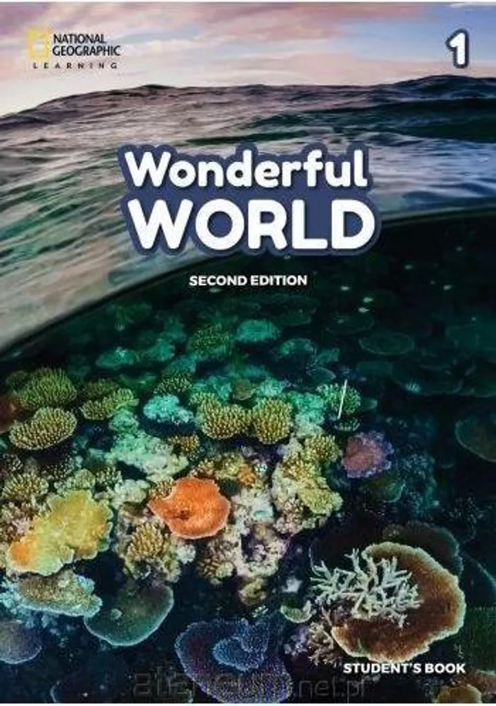 Basket de sécurité Wonderful World 1 SB NE pour homme et femme noire