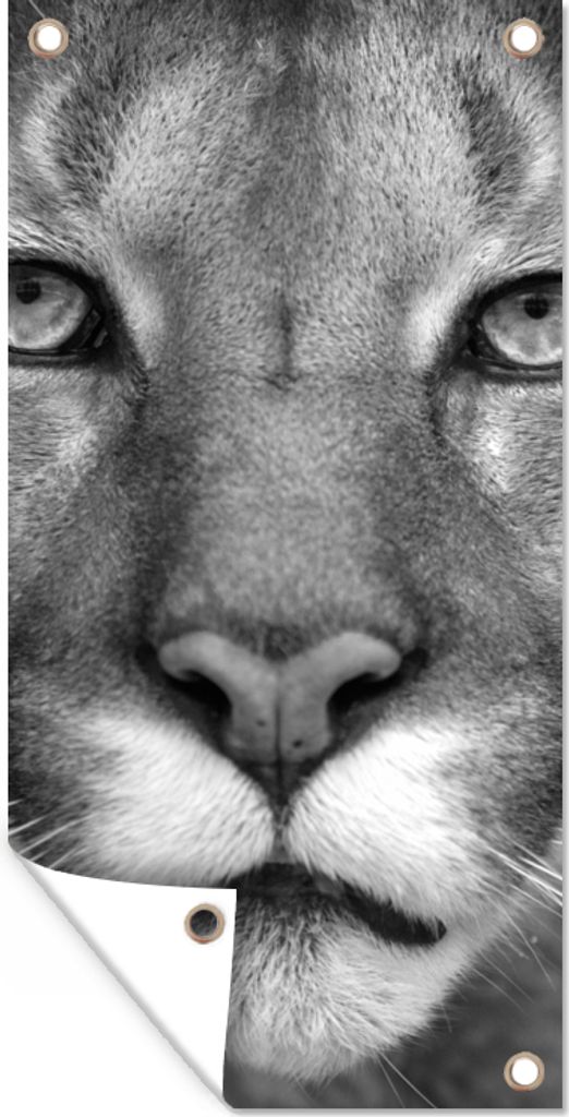 MuchoWow 30x60 cm Outdoor-Poster Gartendeko Sichtschutz Garten Poster für den Garten Panther - Wildlife - Schwarz - Weiß