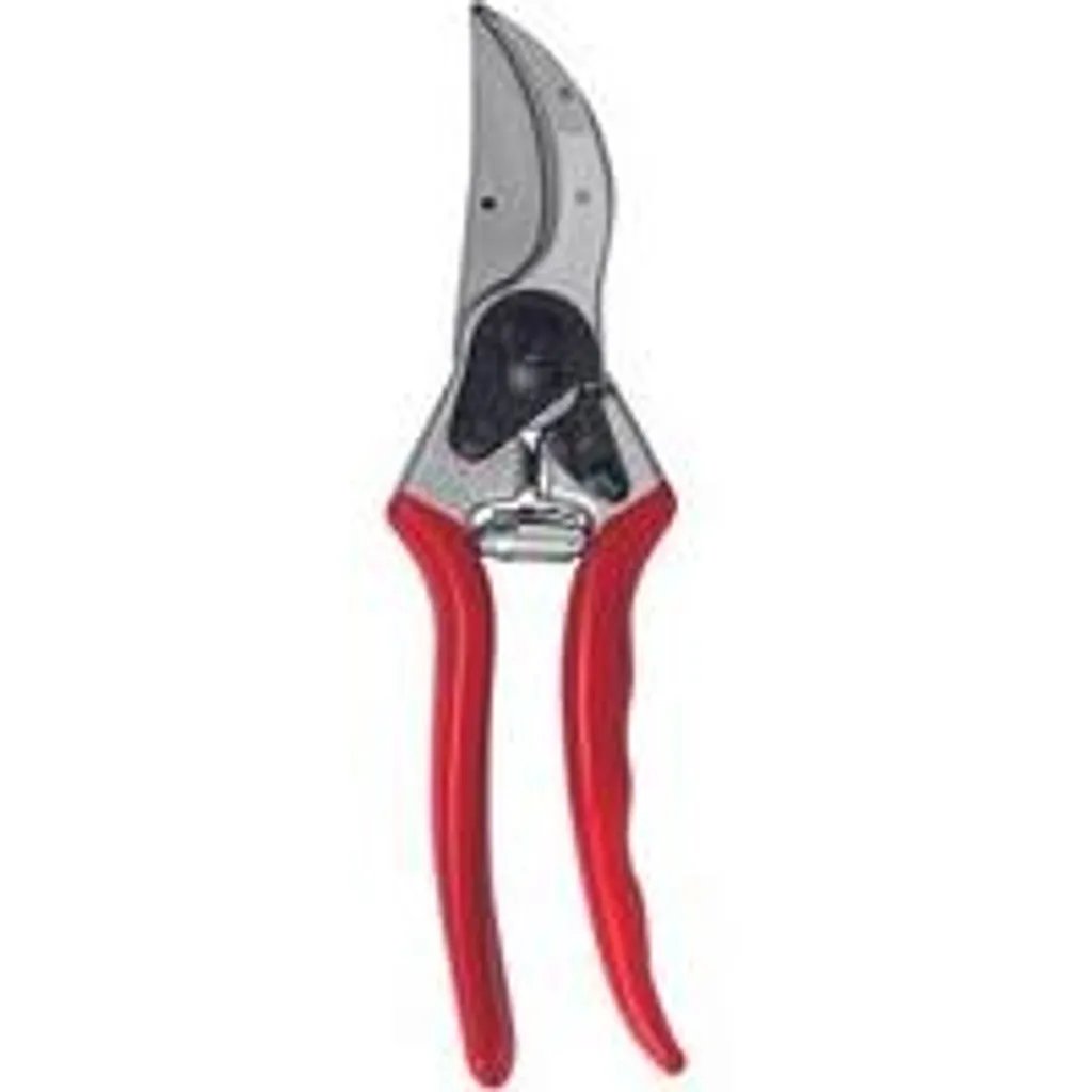 Sécateur de jardin ergonomique 215mm pour la taille des branches de 25mm