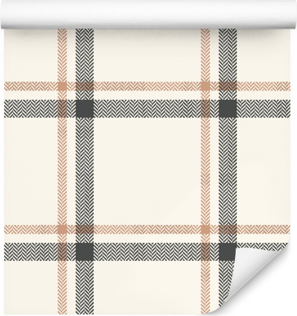 10m VLIES TAPETE Rolle Schottisch Minimalismus Muster Geometrie XXL