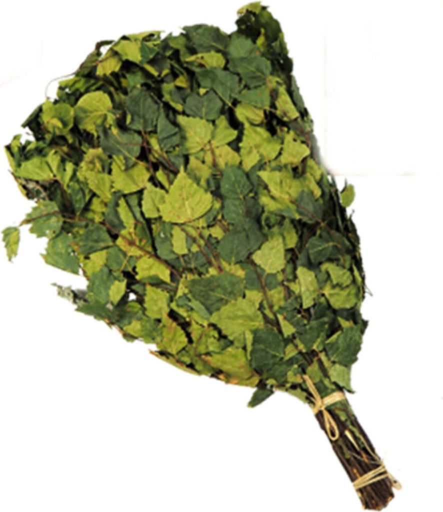 Birkenreisig mit Minze ca. 55-60cm Birkenquast Wenik Sauna Produktbild 