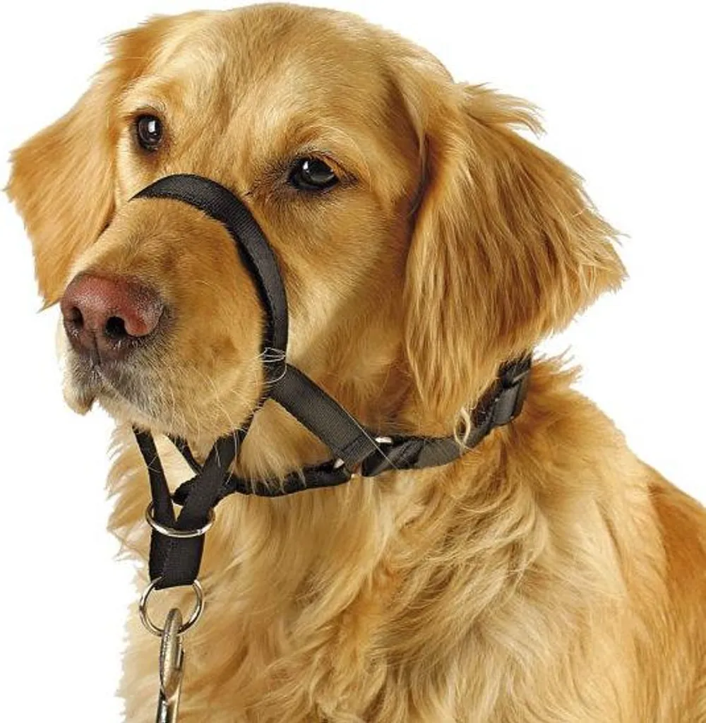 Pettorina Addestramento Maxi Coach 32cm Nera | Controllo Totale Cane