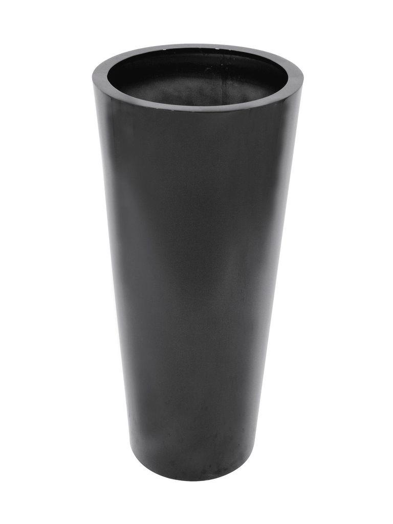EUROPALMS LEICHTSIN ELEGANCE-110, schwarz, glänzend (83011864)