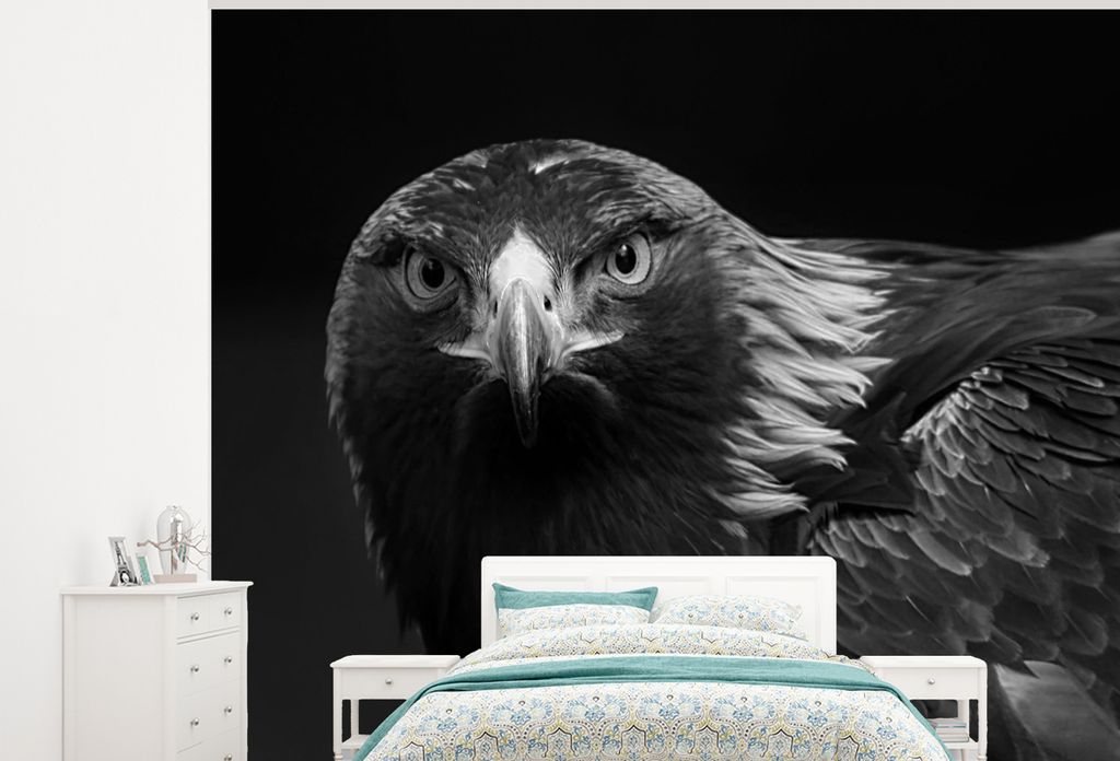 MuchoWow Fototapete für Wohnzimmer oder Schlafzimmer Wandtapete Vinyl Motivtapete Bussard - Vogel - Tiere - Schwarz - Weiß - 325x260 cm - Tapete