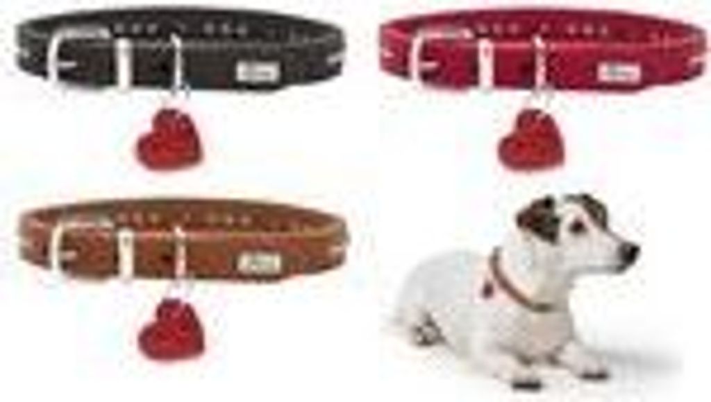 Hunter Halsband Aalborg Hearts