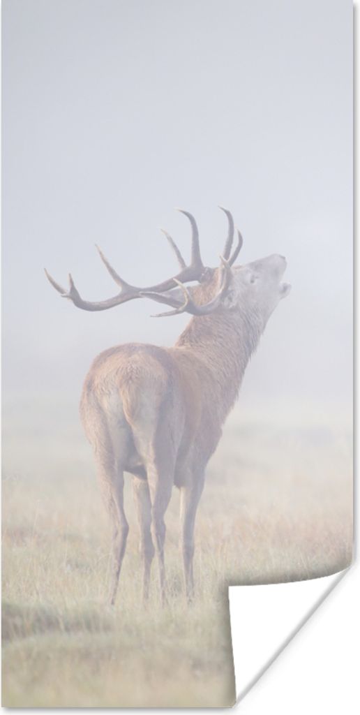 MuchoWow Poster Hirsche - Gras - Nebel 75x150 cm - Dekoration für die Wände