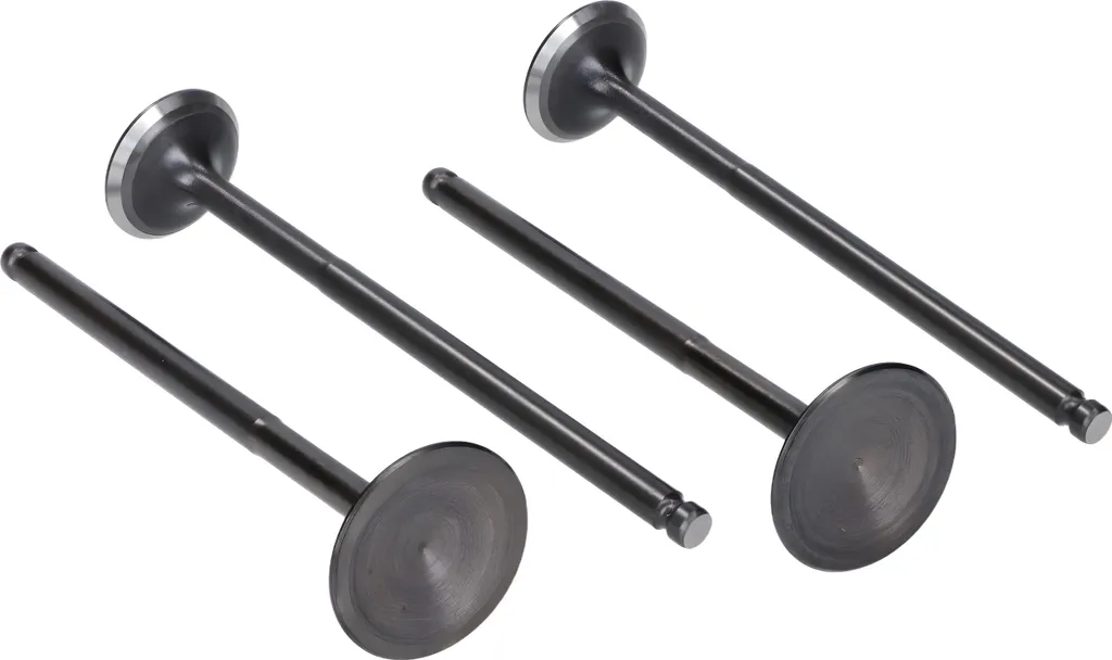 Soupapes d'admission et d'échappement 19/22mm pour moteur Yamaha 125 4V