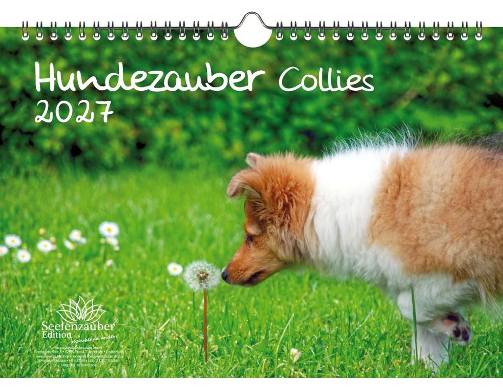 Hundezauber Collies DIN A4 Kalender für 2027 Welpen und Hunde - Seelenzauber
