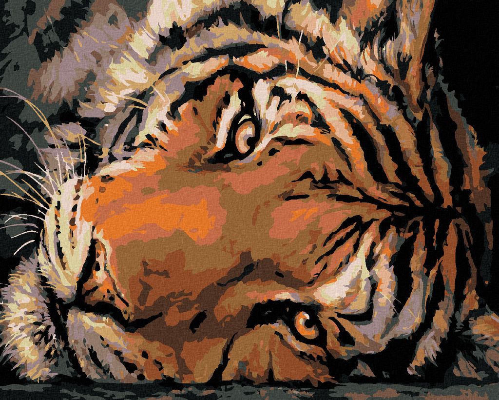 Zuty - Malen nach Zahlen - KLARER TIGERBLICK, 40x50 cm, ohne Keilrahmen