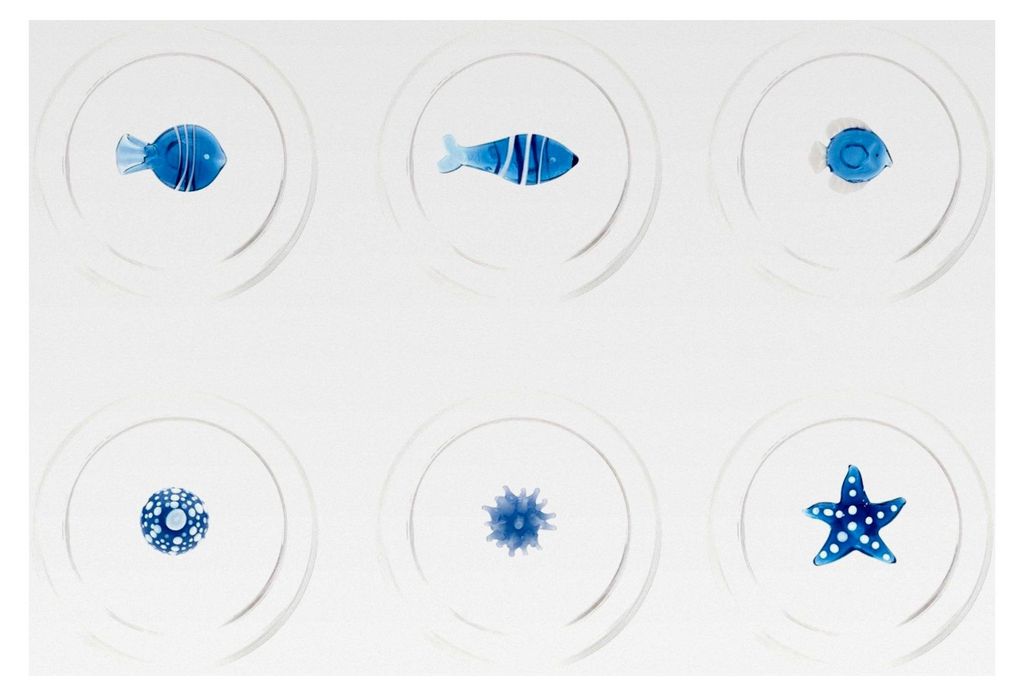 Teca Mare Tumbler Set 6 Wassergläser transparent, Mischkarton mit maritimen Einschlüssen